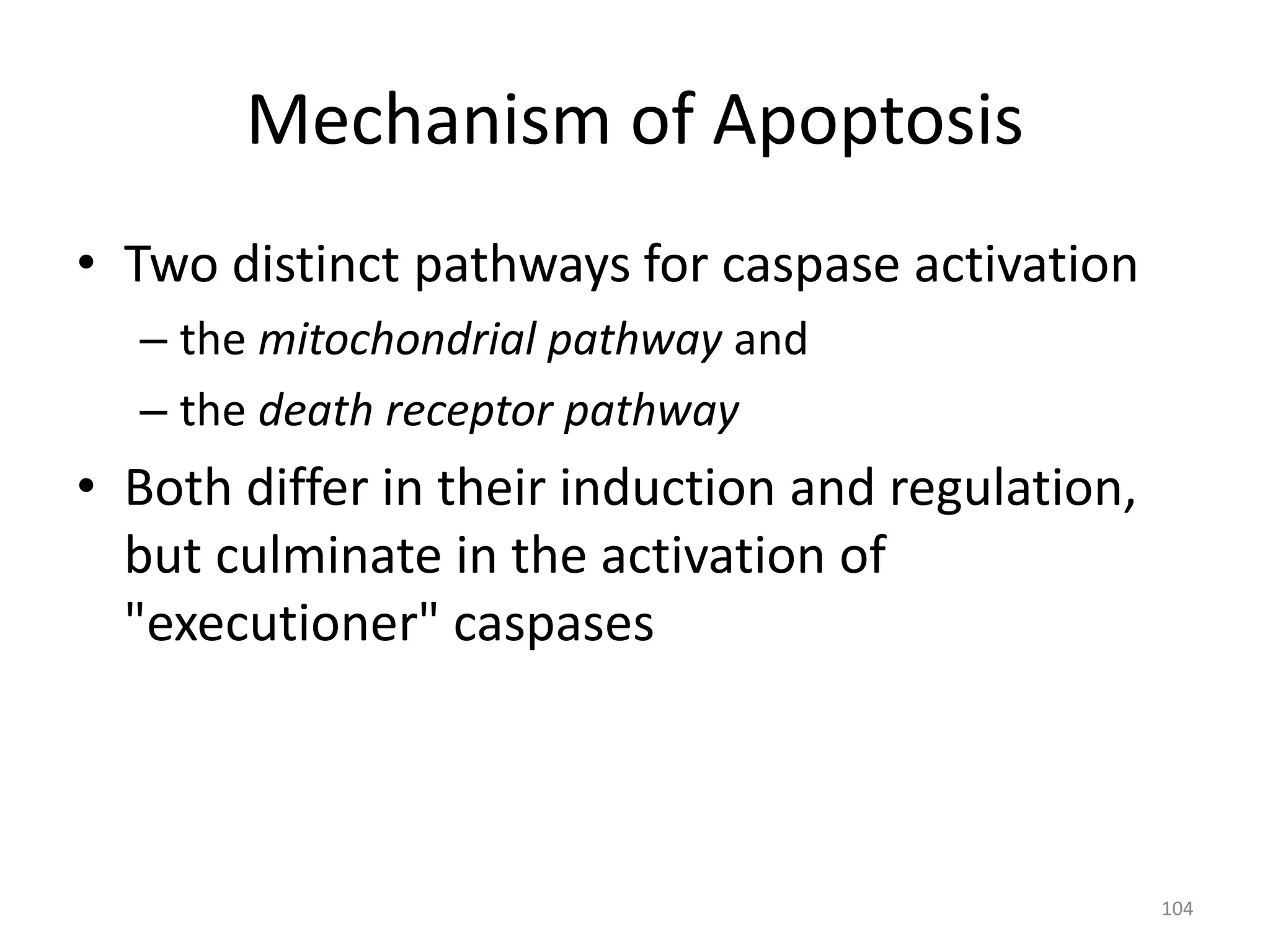 Mechanism of Apoptosis
• Two distinct pathways for caspase activation
– the mitochondrial pathway and
– the death receptor pathway
• Both differ in their induction and regulation,
but culminate in the activation of
"executioner" caspases
104
 