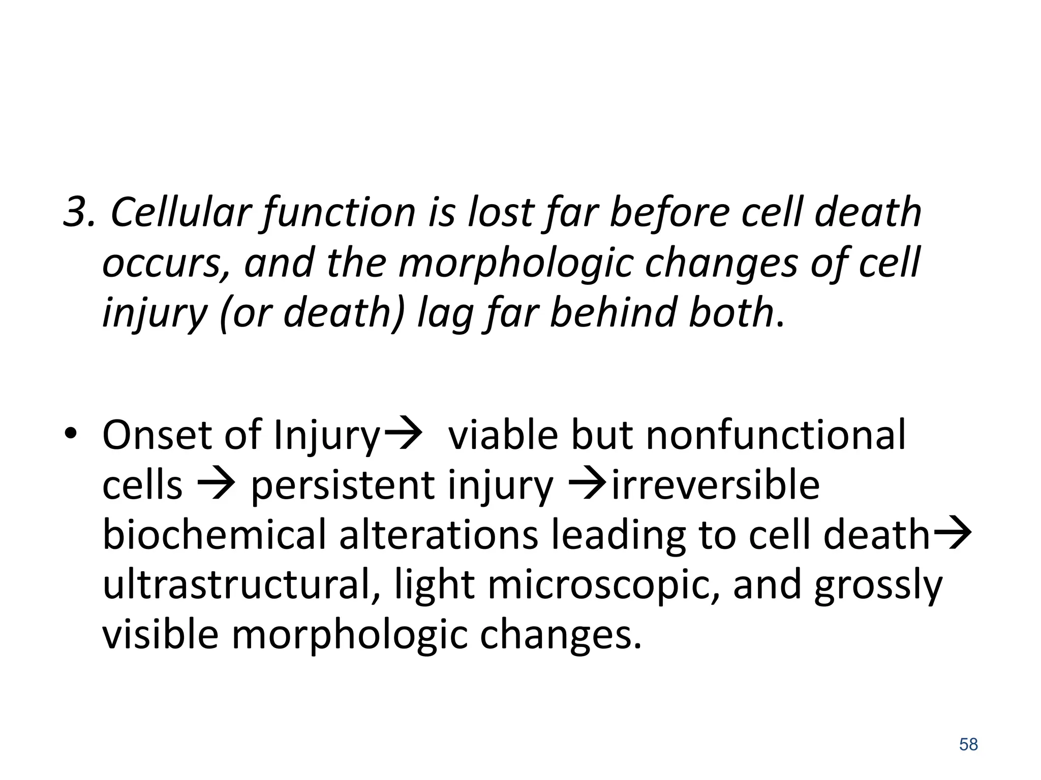 3. Cellular function is lost far before cell death
occurs, and the morphologic changes of cell
injury (or death) lag far behind both.
• Onset of Injury viable but nonfunctional
cells  persistent injury irreversible
biochemical alterations leading to cell death
ultrastructural, light microscopic, and grossly
visible morphologic changes.
58
 