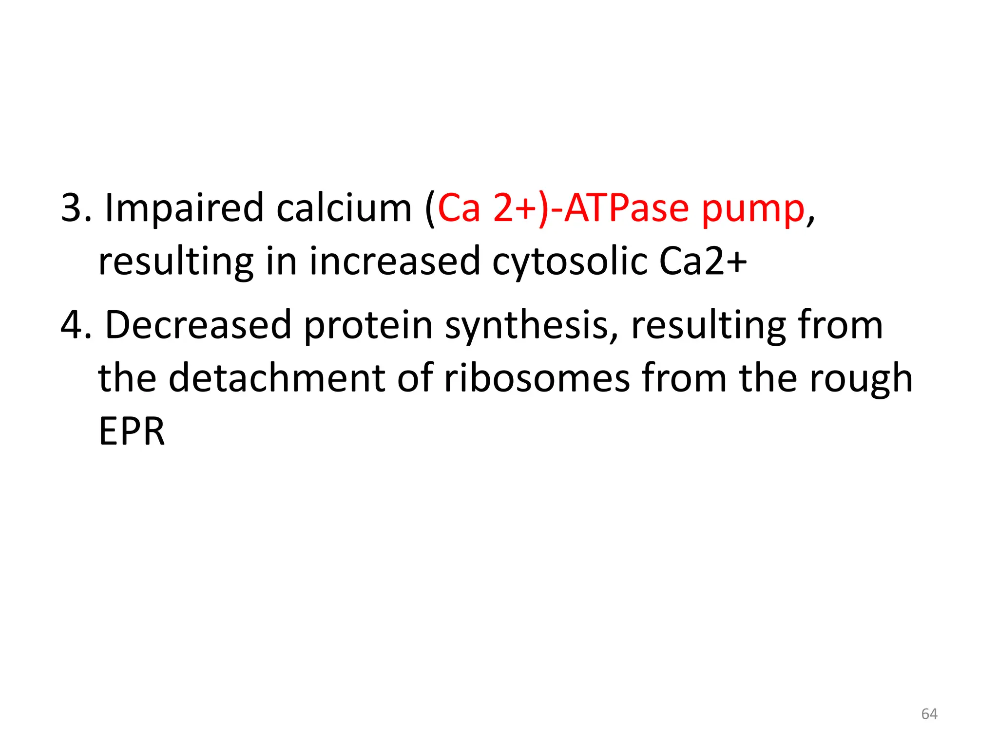 3. Impaired calcium (Ca 2+)-ATPase pump,
resulting in increased cytosolic Ca2+
4. Decreased protein synthesis, resulting from
the detachment of ribosomes from the rough
EPR
64
 