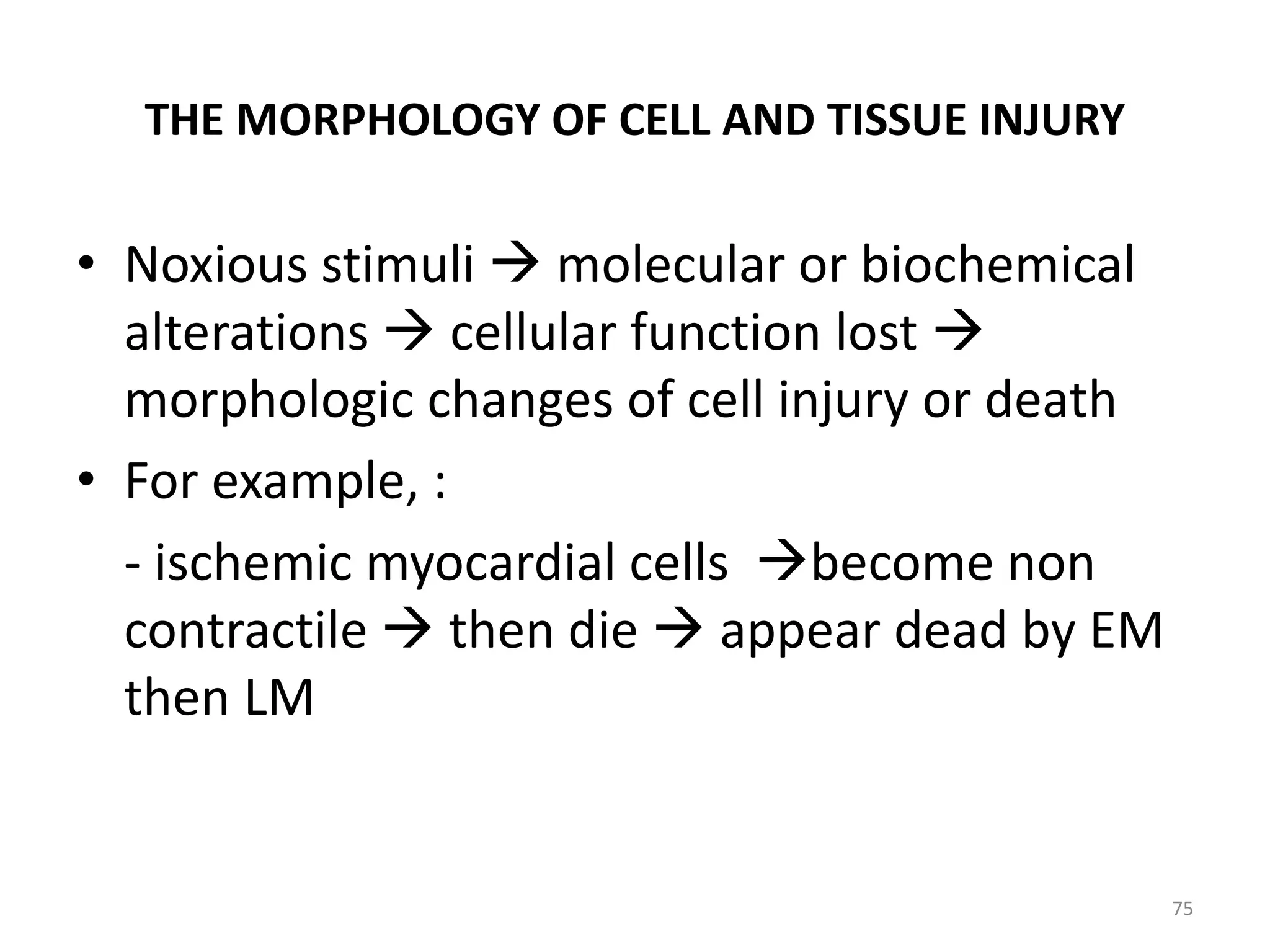 THE MORPHOLOGY OF CELL AND TISSUE INJURY
• Noxious stimuli  molecular or biochemical
alterations  cellular function lost 
morphologic changes of cell injury or death
• For example, :
- ischemic myocardial cells become non
contractile  then die  appear dead by EM
then LM
75
 