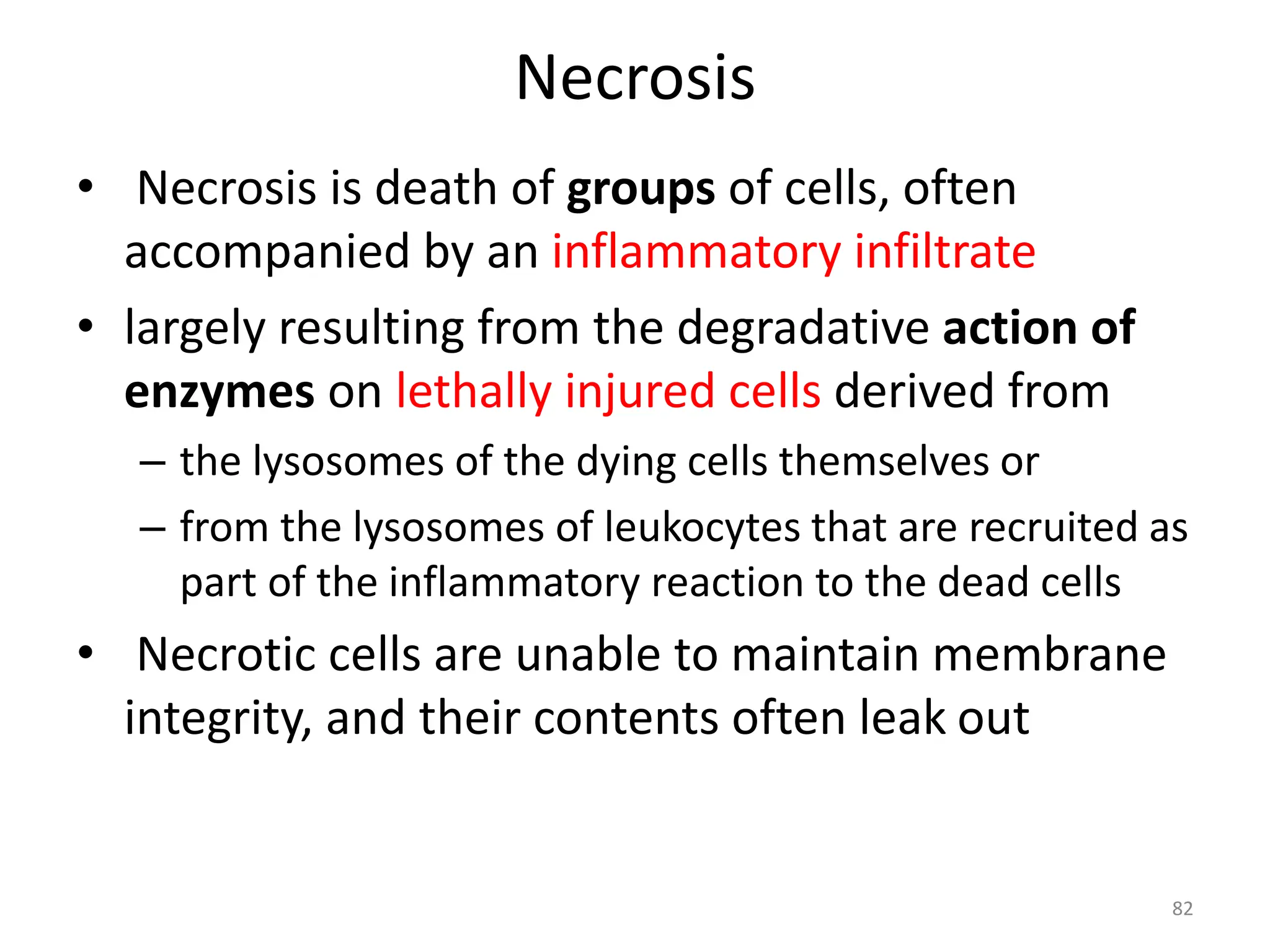 Necrosis
• Necrosis is death of groups of cells, often
accompanied by an inflammatory infiltrate
• largely resulting from the degradative action of
enzymes on lethally injured cells derived from
– the lysosomes of the dying cells themselves or
– from the lysosomes of leukocytes that are recruited as
part of the inflammatory reaction to the dead cells
• Necrotic cells are unable to maintain membrane
integrity, and their contents often leak out
82
 