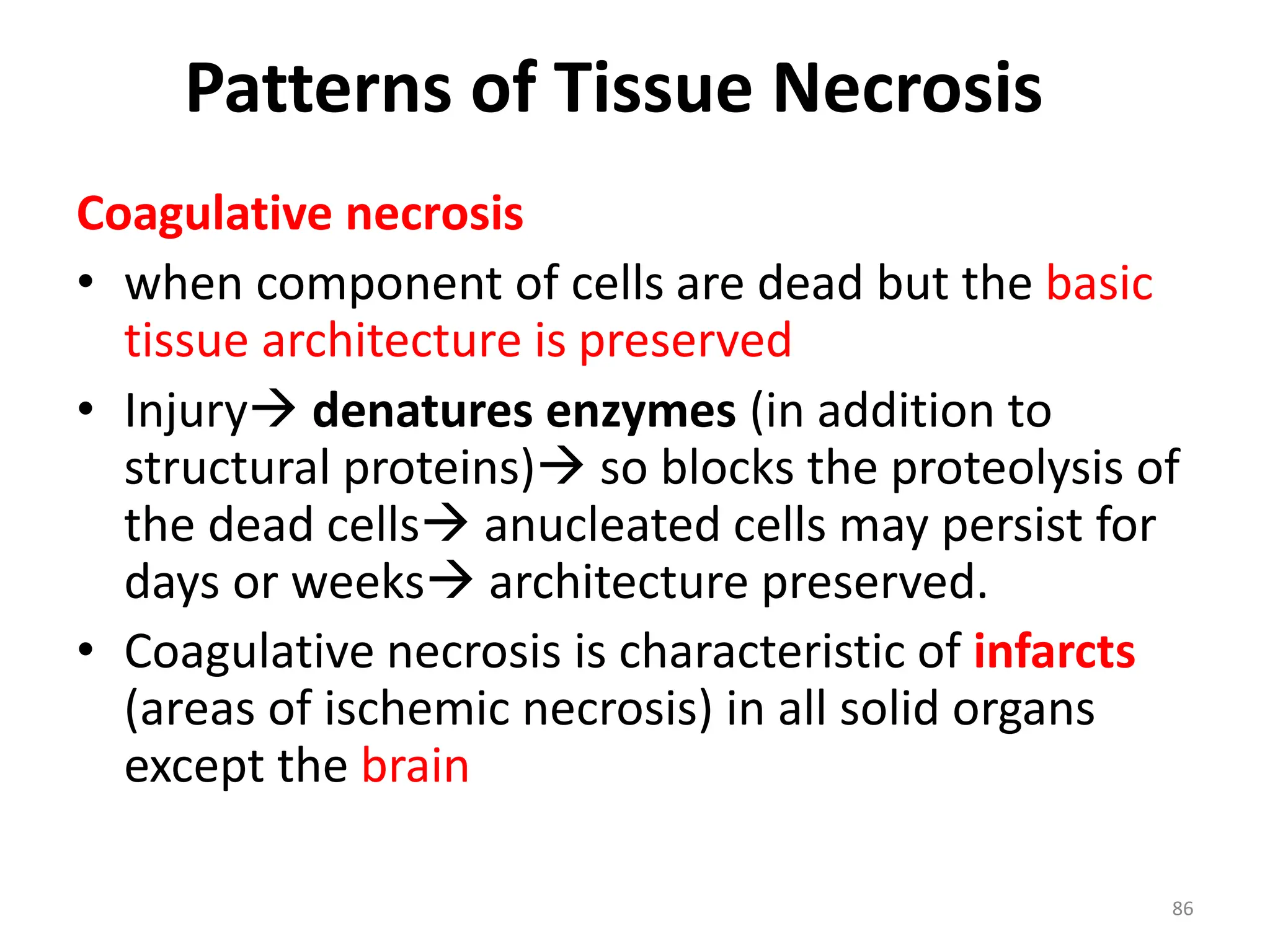 Patterns of Tissue Necrosis
Coagulative necrosis
• when component of cells are dead but the basic
tissue architecture is preserved
• Injury denatures enzymes (in addition to
structural proteins) so blocks the proteolysis of
the dead cells anucleated cells may persist for
days or weeks architecture preserved.
• Coagulative necrosis is characteristic of infarcts
(areas of ischemic necrosis) in all solid organs
except the brain
86
 