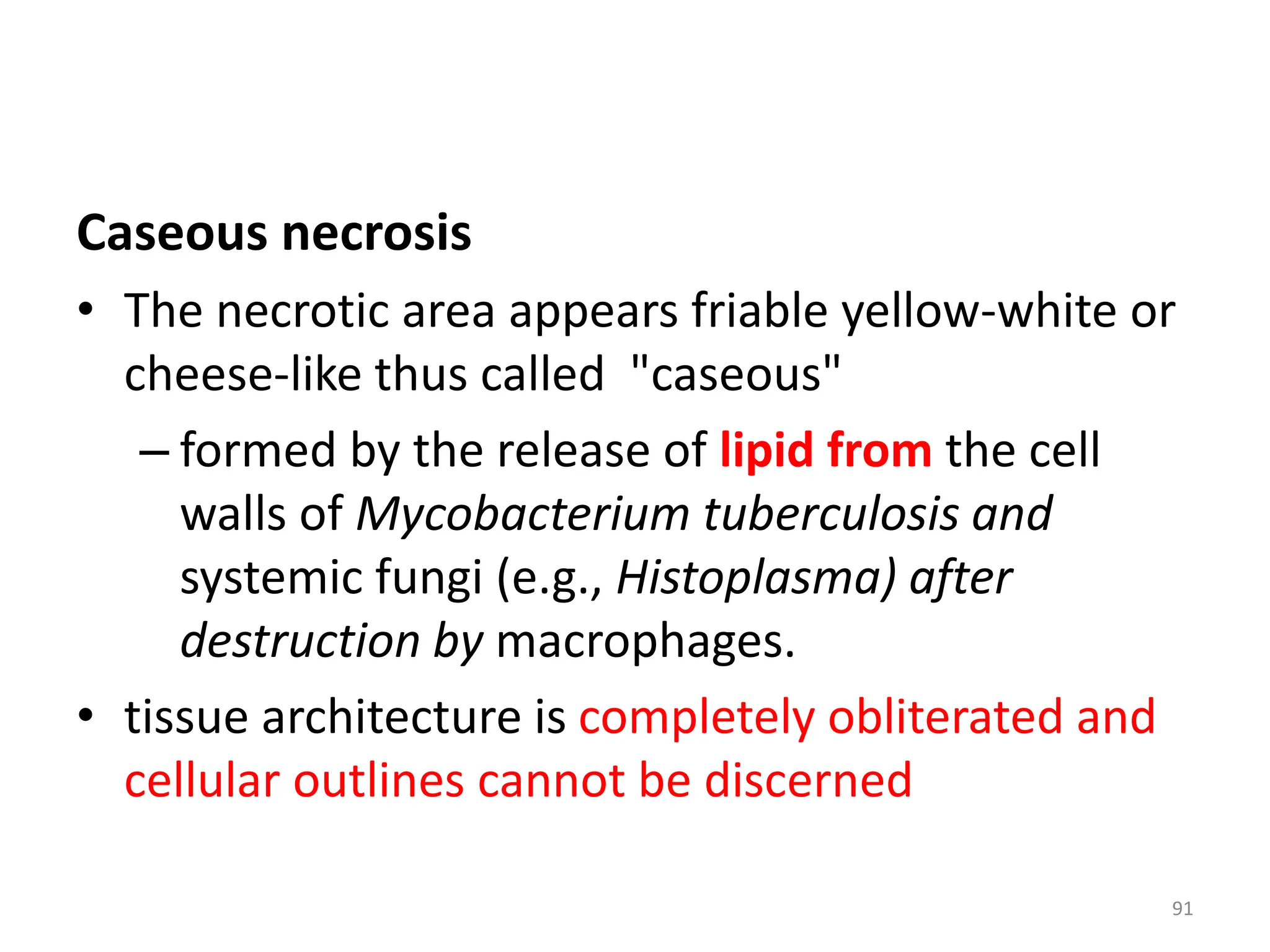 Caseous necrosis
• The necrotic area appears friable yellow-white or
cheese-like thus called "caseous"
– formed by the release of lipid from the cell
walls of Mycobacterium tuberculosis and
systemic fungi (e.g., Histoplasma) after
destruction by macrophages.
• tissue architecture is completely obliterated and
cellular outlines cannot be discerned
91
 