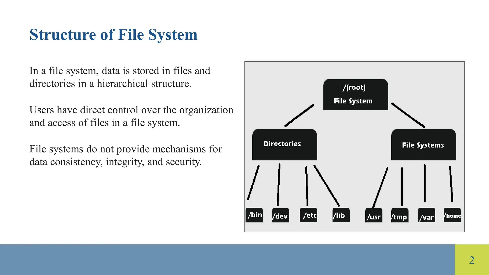Introduction And Differences Between File System And Dbms.pptx