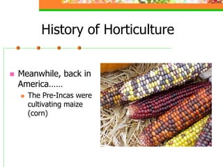 History of Horticulture
 Meanwhile, back in
America……
 The Pre-Incas were
cultivating maize
(corn)
 