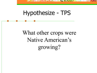 Hypothesize - TPS
What other crops were
Native American’s
growing?
 