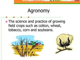 Agronomy
 The science and practice of growing
field crops such as cotton, wheat,
tobacco, corn and soybeans.
 