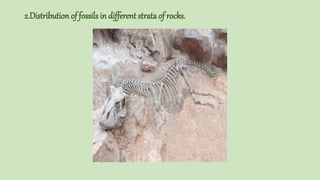 Stratification Evolution Introduction and importance of biological evolution | PPTX