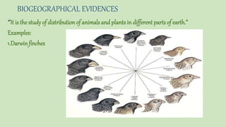Introduction and importance of biological evolution | PPTX