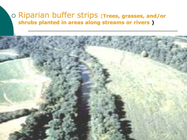 Introduction And Importance Of Forestry And Agroforestry Pdf Pdf