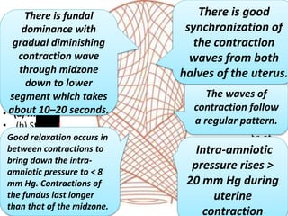 Introduction and physiology of labor | PPTX