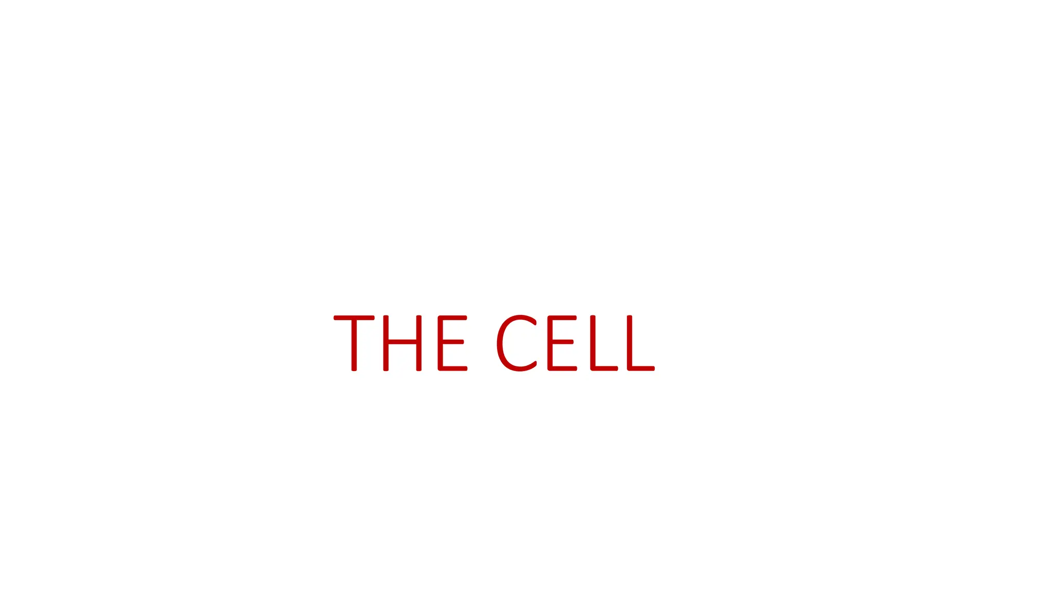 THE CELL
 