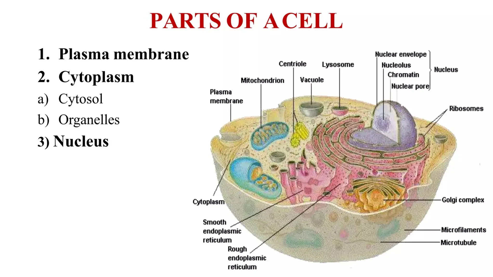 introductioon to pathology and the cell.
