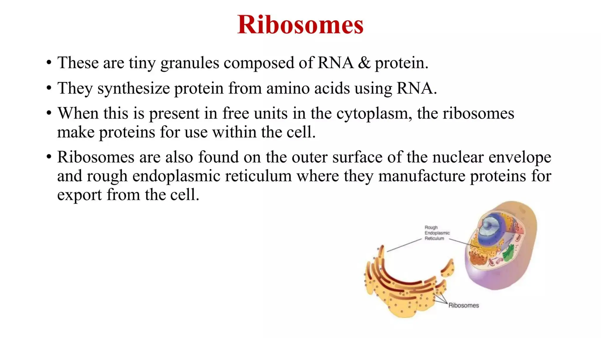 introductioon to pathology and the cell.