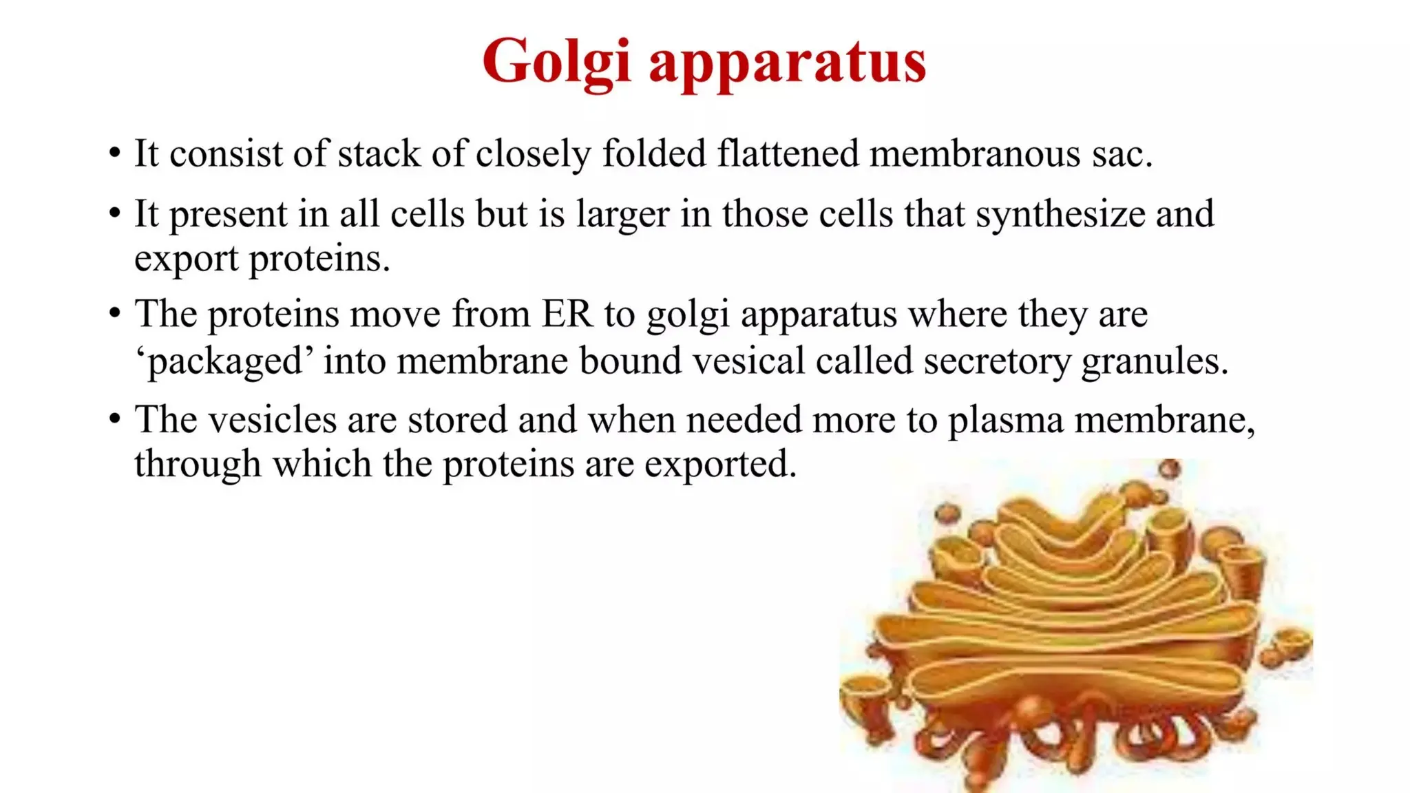introductioon to pathology and the cell.