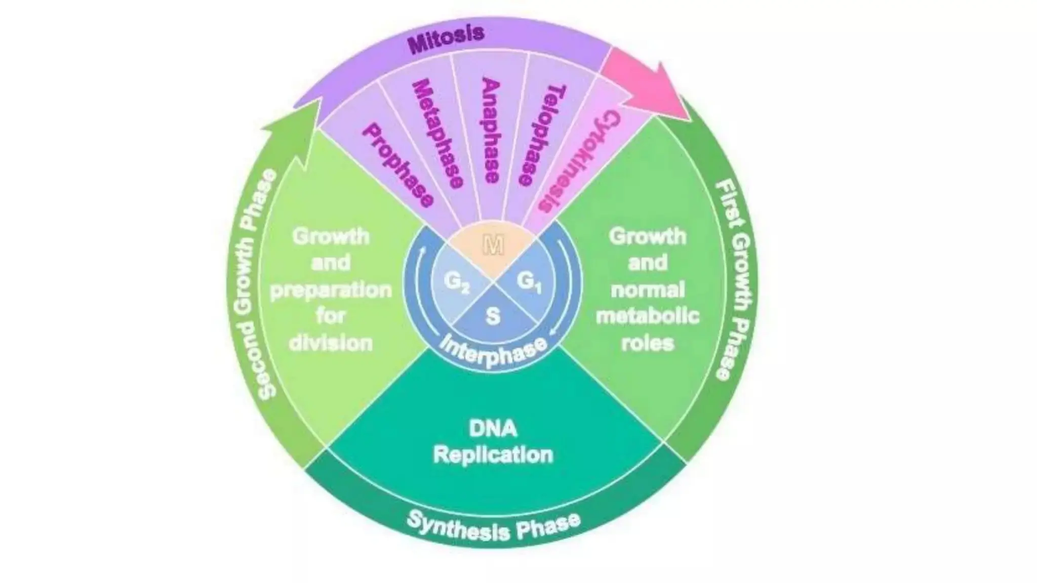 introductioon to pathology and the cell.