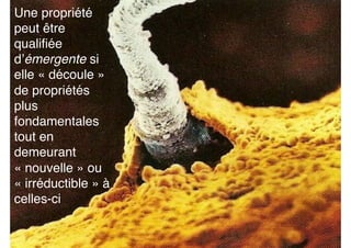 Une propriété
peut être
qualiﬁée
d’émergente si
elle « découle »
de propriétés
plus
fondamentales
tout en
demeurant
« nouvelle » ou
« irréductible » à
celles-ci
 