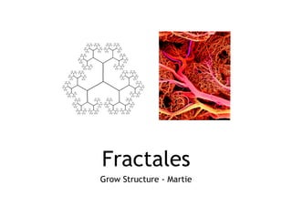 Fractales
Grow Structure - Martie
 