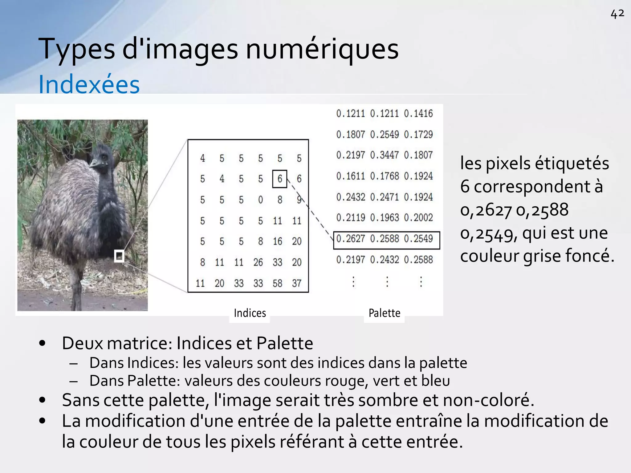 • Deux matrice: Indices et Palette
– Dans Indices: les valeurs sont des indices dans la palette
– Dans Palette: valeurs des couleurs rouge, vert et bleu
• Sans cette palette, l'image serait très sombre et non-coloré.
• La modification d'une entrée de la palette entraîne la modification de
la couleur de tous les pixels référant à cette entrée.
Types d'images numériques
Indexées
42
Indices Palette
les pixels étiquetés
6 correspondent à
0,2627 0,2588
0,2549, qui est une
couleur grise foncé.
 