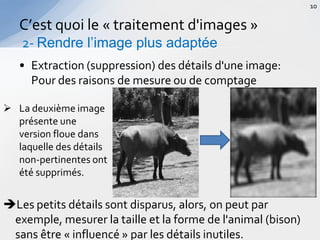 • Extraction (suppression) des détails d'une image:
Pour des raisons de mesure ou de comptage
C’est quoi le « traitement d'images »
2- Rendre l’image plus adaptée
10
 La deuxième image
présente une
version floue dans
laquelle des détails
non-pertinentes ont
été supprimés.
Les petits détails sont disparus, alors, on peut par
exemple, mesurer la taille et la forme de l'animal (bison)
sans être « influencé » par les détails inutiles.
 
