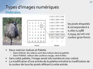 • Deux matrice: Indices et Palette
– Dans Indices: les valeurs sont des indices dans la palette
– Dans Palette: valeurs des couleurs rouge, vert et bleu
• Sans cette palette, l'image serait très sombre et non-coloré.
• La modification d'une entrée de la palette entraîne la modification de
la couleur de tous les pixels référant à cette entrée.
Types d'images numériques
Indexées
42
Indices Palette
les pixels étiquetés
6 correspondent à
0,2627 0,2588
0,2549, qui est une
couleur grise foncé.
 