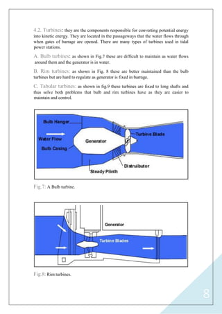 8
4.2. Turbines: they are the components responsible for converting potential energy
into kinetic energy. They are located in the passageways that the water flows through
when gates of barrage are opened. There are many types of turbines used in tidal
power stations.
A. Bulb turbines: as shown in Fig.7 these are difficult to maintain as water flows
around them and the generator is in water.
B. Rim turbines: as shown in Fig. 8 these are better maintained than the bulb
turbines but are hard to regulate as generator is fixed in barrage.
C. Tabular turbines: as shown in fig.9 these turbines are fixed to long shafts and
thus solve both problems that bulb and rim turbines have as they are easier to
maintain and control.
Fig.7: A Bulb turbine.
Fig.8: Rim turbines.
 