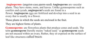 Angiosperms- (angeion-case,sperm-seed) Angiosperms are vascular
plants. They have stems, roots, and leaves. Unlike gymnosperms such as
conifers and cycads, angiosperm's seeds are found in a
flower. Angiosperm eggs are fertilized and develop into a seed in an
ovary that is usually in a flower.
Those plants in which the seeds are enclosed in the fruit.
They are highest forms of plants.
Gymnosperms- are flowerless plants that produce cones and seeds. The
term gymnosperm literally means "naked seed," as gymnosperm seeds
are not encased within an ovary. Rather, they sit exposed on the surface of
leaf-like structures called bracts
 