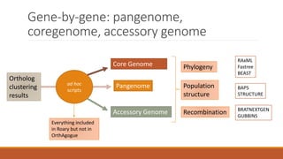 Gene-by-gene: pangenome,
coregenome, accessory genome
Ortholog
clustering
results
ad hoc
scripts
Core Genome
Accessory Genome
Pangenome
Phylogeny
RAxML
Fastree
BEAST
Everything included
in Roary but not in
OrthAgogue
Population
structure
BAPS
STRUCTURE
Recombination BRATNEXTGEN
GUBBINS
 