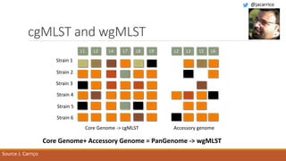cgMLST and wgMLST
Strain 1
Strain 2
Strain 3
Strain 4
Strain 5
Strain 6
L1 L2L2 L3L4 L5 L6L7 L8 L9
Core Genome -> cgMLST Accessory genome
Core Genome+ Accessory Genome = PanGenome -> wgMLST
Source J. Carriço
@jacarrico
 