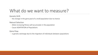 What do we want to measure?
Genetic Drift
◦ the change in the gene pool of a small population due to chance
Natural Selection
◦ Allele increasing fitness will accumulate in the population
◦ Cause ADAPTATION of Populations
Gene Flow
◦ is genetic exchange due to the migration of individuals between populations
 