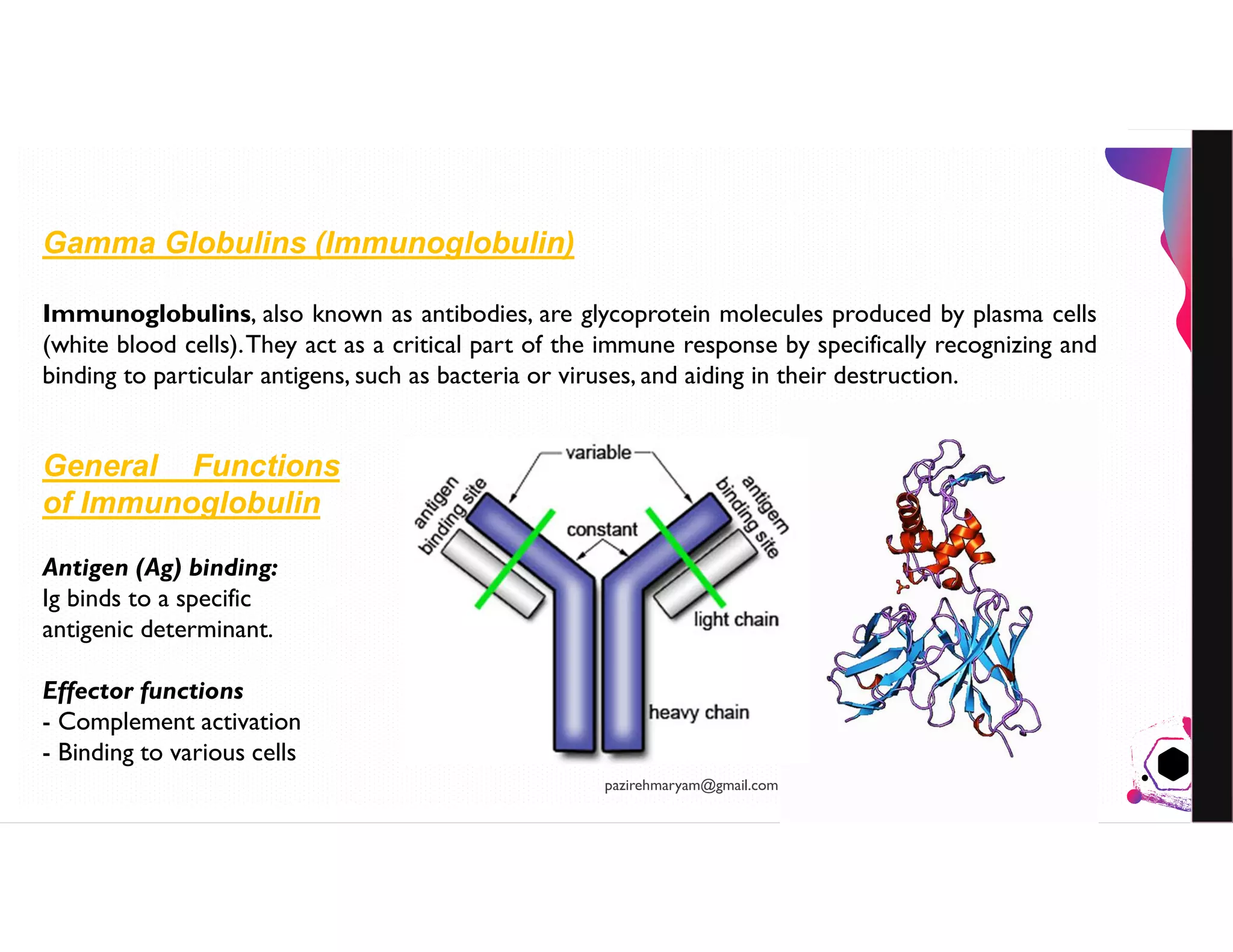 Plasma Proteins For Therapeutic Use; An Introduction to Blood PLASMA ...