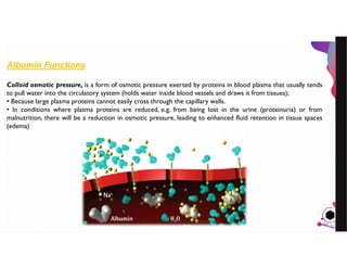 JensMartensson
Albumin Functions
Colloid osmotic pressure, is a form of osmotic pressure exerted by proteins in blood plasma that usually tends
to pull water into the circulatory system (holds water inside blood vessels and draws it from tissues);
• Because large plasma proteins cannot easily cross through the capillary walls.
• In conditions where plasma proteins are reduced, e.g. from being lost in the urine (proteinuria) or from
malnutrition, there will be a reduction in osmotic pressure, leading to enhanced fluid retention in tissue spaces
(edema)
pazirehmaryam@gmail.com
 