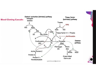 JensMartensson
Blood Clotting Cascade:
pazirehmaryam@gmail.com
 