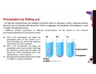 JensMartensson
Precipitation by Salting out
- At high salt concentrations, the solubility of proteins tends to decrease as water molecules become
bound to salt ions thereby allowing protein solutes to aggregate and precipitate. Centrifugation is used
to “pellet” precipitated protein.
- Different proteins precipitate at different concentrations of salt based on the inherent
polarity/hydrophobicity of the specific protein.
(a) Add a salt concentration just below the
precipitation point of your protein (green
dots). Centrifuge and remove the salted-out
contaminants (red dots in panel b)
(b) Add a salt concentration just above the
precipitation point of your protein. Centrifuge
the salted-out protein, keep the pellet, and
discard any other contaminants still in the
supernatant (grey dots in panel c).
(c) Resuspend the partially purified protein pellet
in a buffer to continue purification.
pazirehmaryam@gmail.com
 