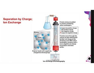 JensMartensson
Separation by Charge;
Ion Exchange
pazirehmaryam@gmail.com
 