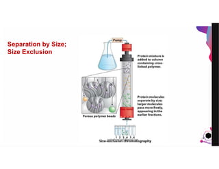 JensMartensson
Separation by Size;
Size Exclusion
pazirehmaryam@gmail.com
 