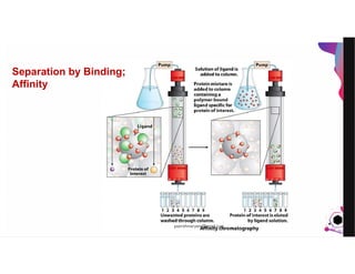 JensMartensson
Separation by Binding;
Affinity
pazirehmaryam@gmail.com
 
