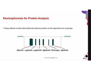 JensMartensson
Electrophoresis for Protein Analysis
• Using cellulose acetate electrophoresis, plasma proteins can be separated into six groups.
Albumin α1globulin α2globulin βglobulin fibrinogen γglobulin
anode cathode
pazirehmaryam@gmail.com
 