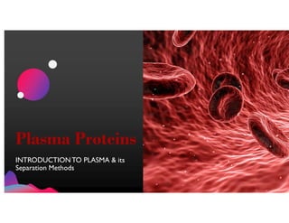JensMartensson
Plasma Proteins
INTRODUCTIONTO PLASMA & its
Separation Methods
 