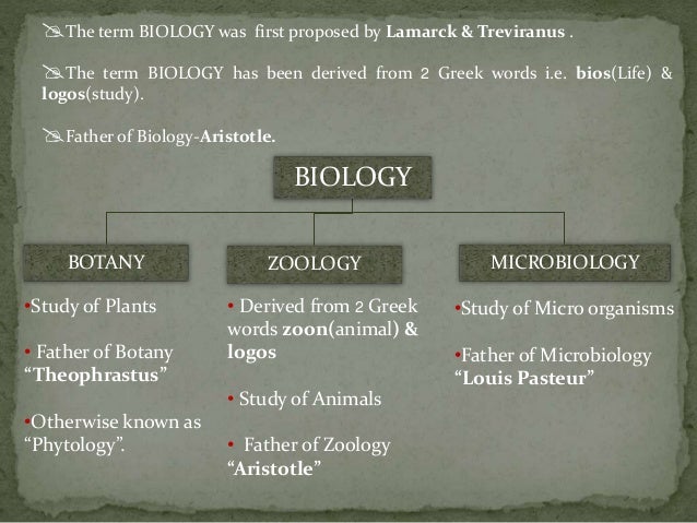 Natural Science Vs Political Science Natural Science Vs Political Science