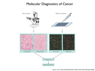 Introduction cancer genetics and genomics | PDF