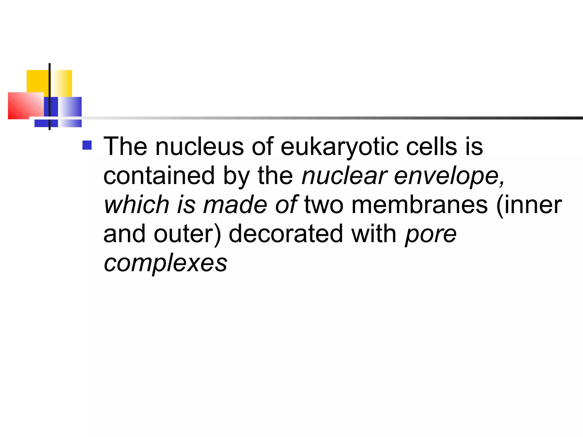 The nucleus of eukaryotic cells is
contained by the nuclear envelope,
which is made of two membranes (inner
and outer) decorated with pore
complexes
 
