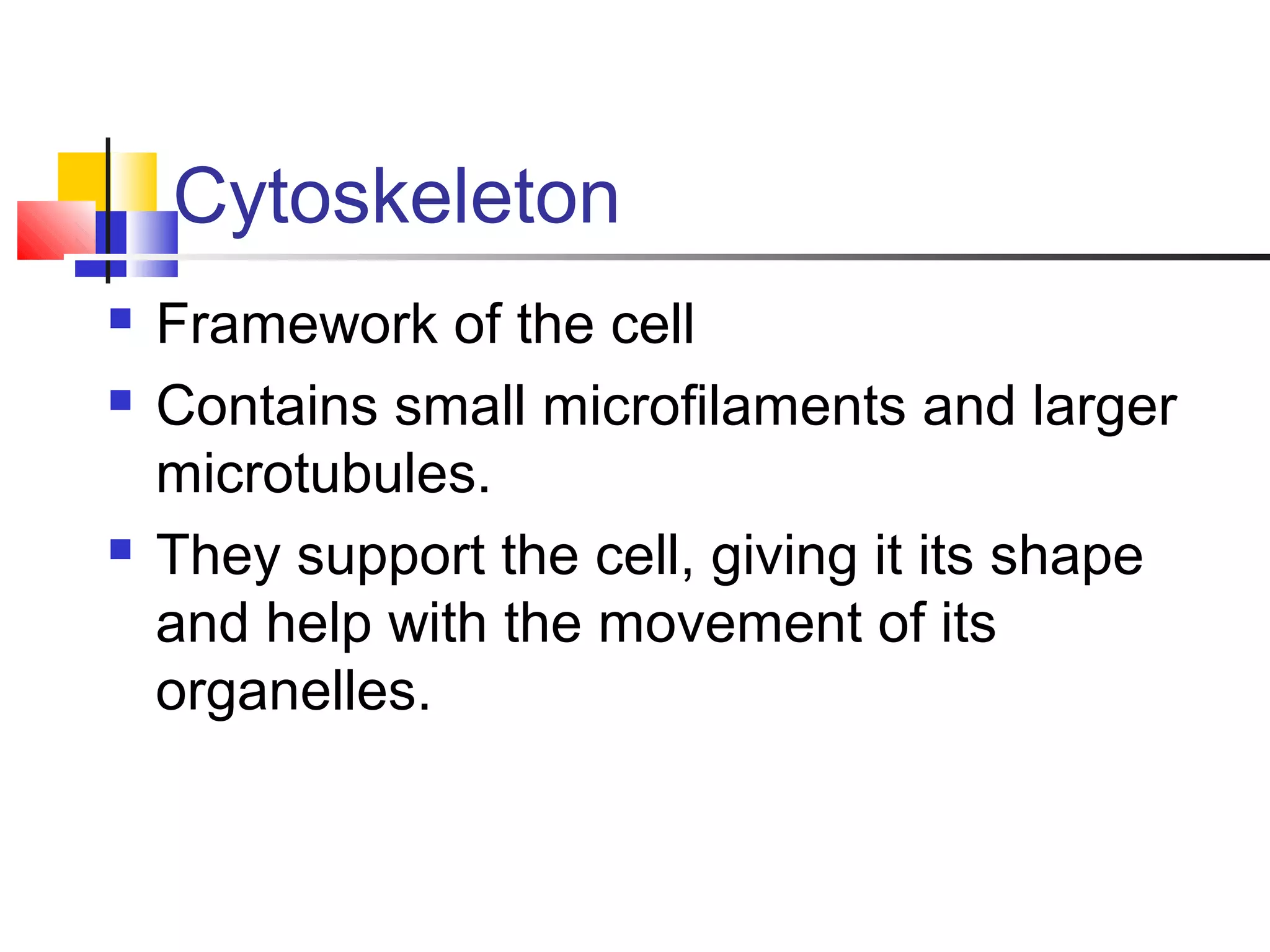 Cytoskeleton
 Framework of the cell
 Contains small microfilaments and larger
microtubules.
 They support the cell, giving it its shape
and help with the movement of its
organelles.
 