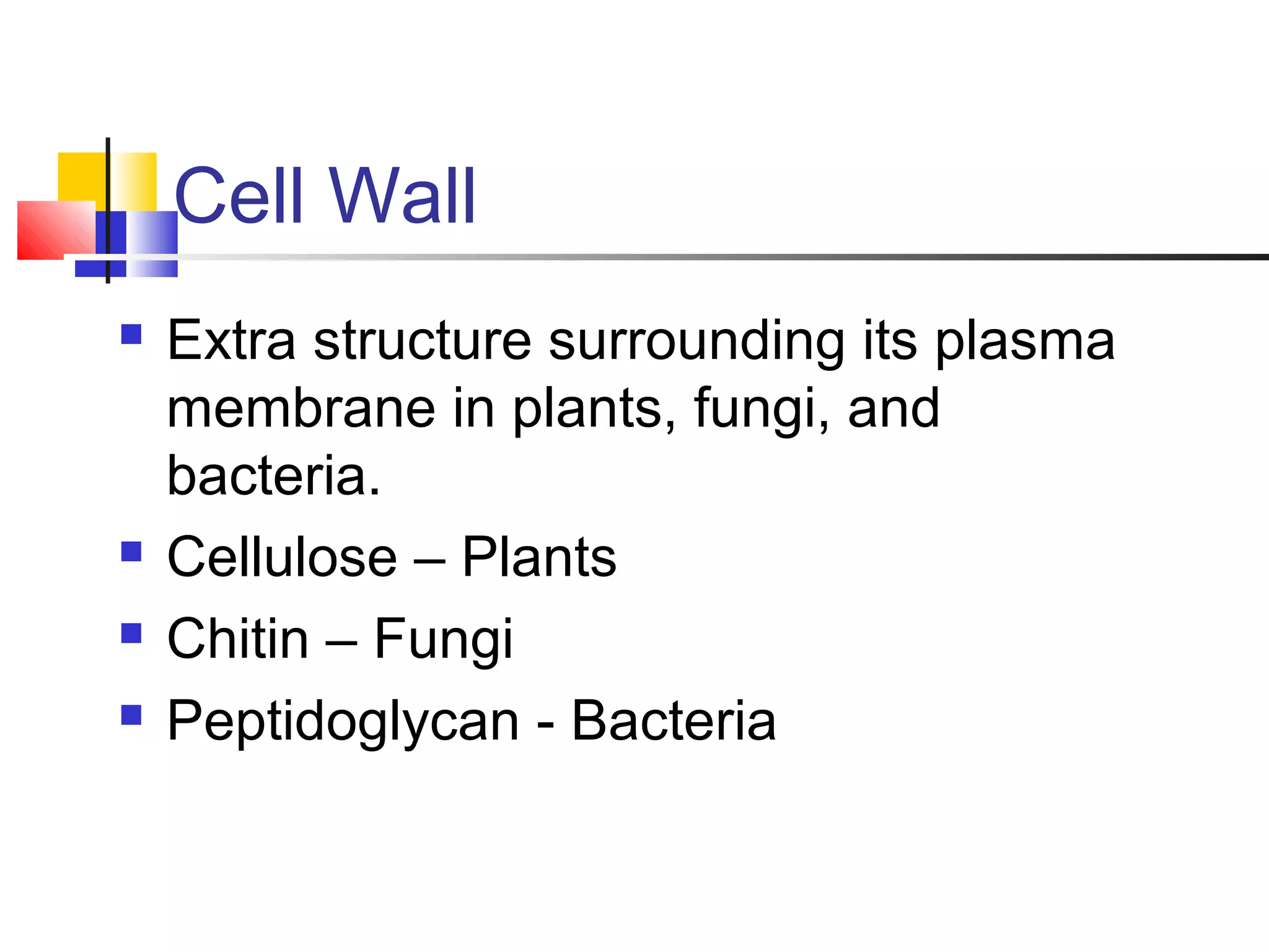 Cell Wall
 Extra structure surrounding its plasma
membrane in plants, fungi, and
bacteria.
 Cellulose – Plants
 Chitin – Fungi
 Peptidoglycan - Bacteria
 