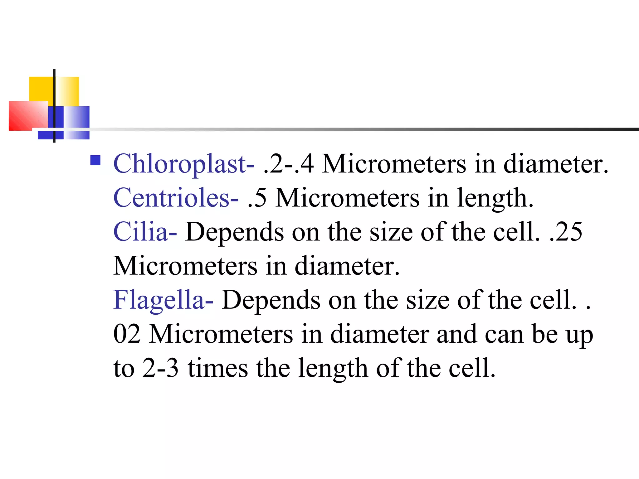  Chloroplast- .2-.4 Micrometers in diameter.
Centrioles- .5 Micrometers in length.
Cilia- Depends on the size of the cell. .25
Micrometers in diameter.
Flagella- Depends on the size of the cell. .
02 Micrometers in diameter and can be up
to 2-3 times the length of the cell.
 