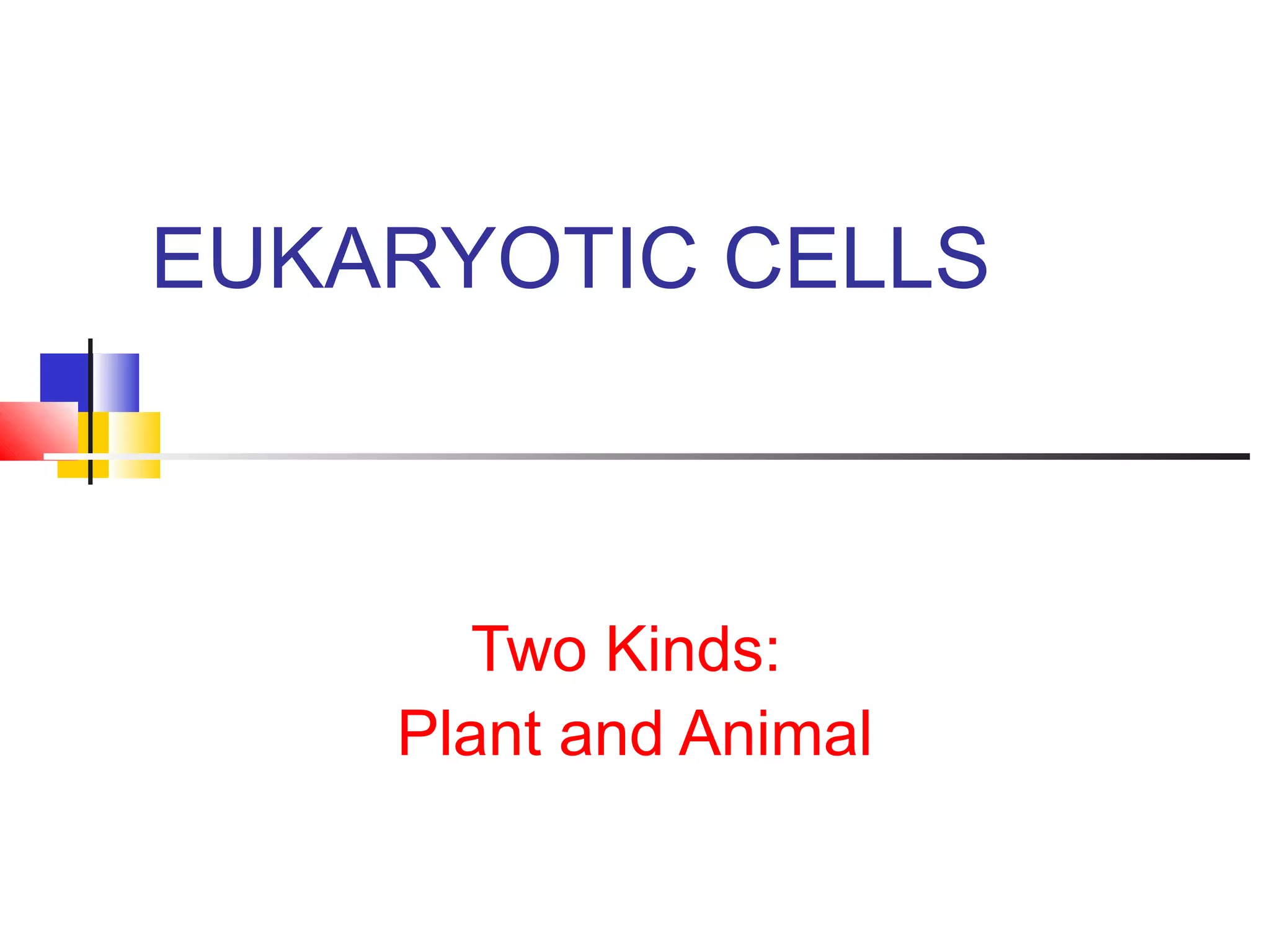 EUKARYOTIC CELLS
Two Kinds:
Plant and Animal
 