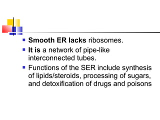  Smooth ER lacks ribosomes.
 It is a network of pipe-like
interconnected tubes.
 Functions of the SER include synthesis
of lipids/steroids, processing of sugars,
and detoxification of drugs and poisons
 