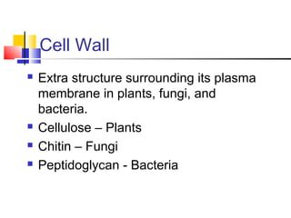 Cell Wall
 Extra structure surrounding its plasma
membrane in plants, fungi, and
bacteria.
 Cellulose – Plants
 Chitin – Fungi
 Peptidoglycan - Bacteria
 