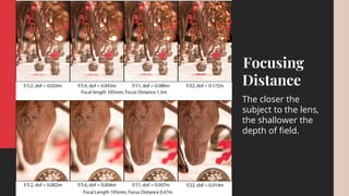 Basics of Photography Lessons - DEPTH OF FIELD | PDF