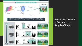 Basics of Photography Lessons - DEPTH OF FIELD | PDF